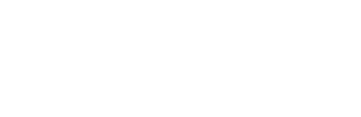 Visionary Education